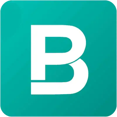 Bigpicture io logo